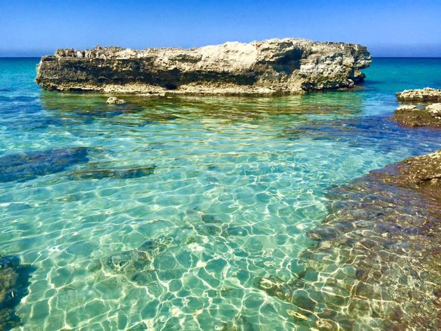 Villa Conca Marco Torre dell'Orso Εξωτερικό φωτογραφία